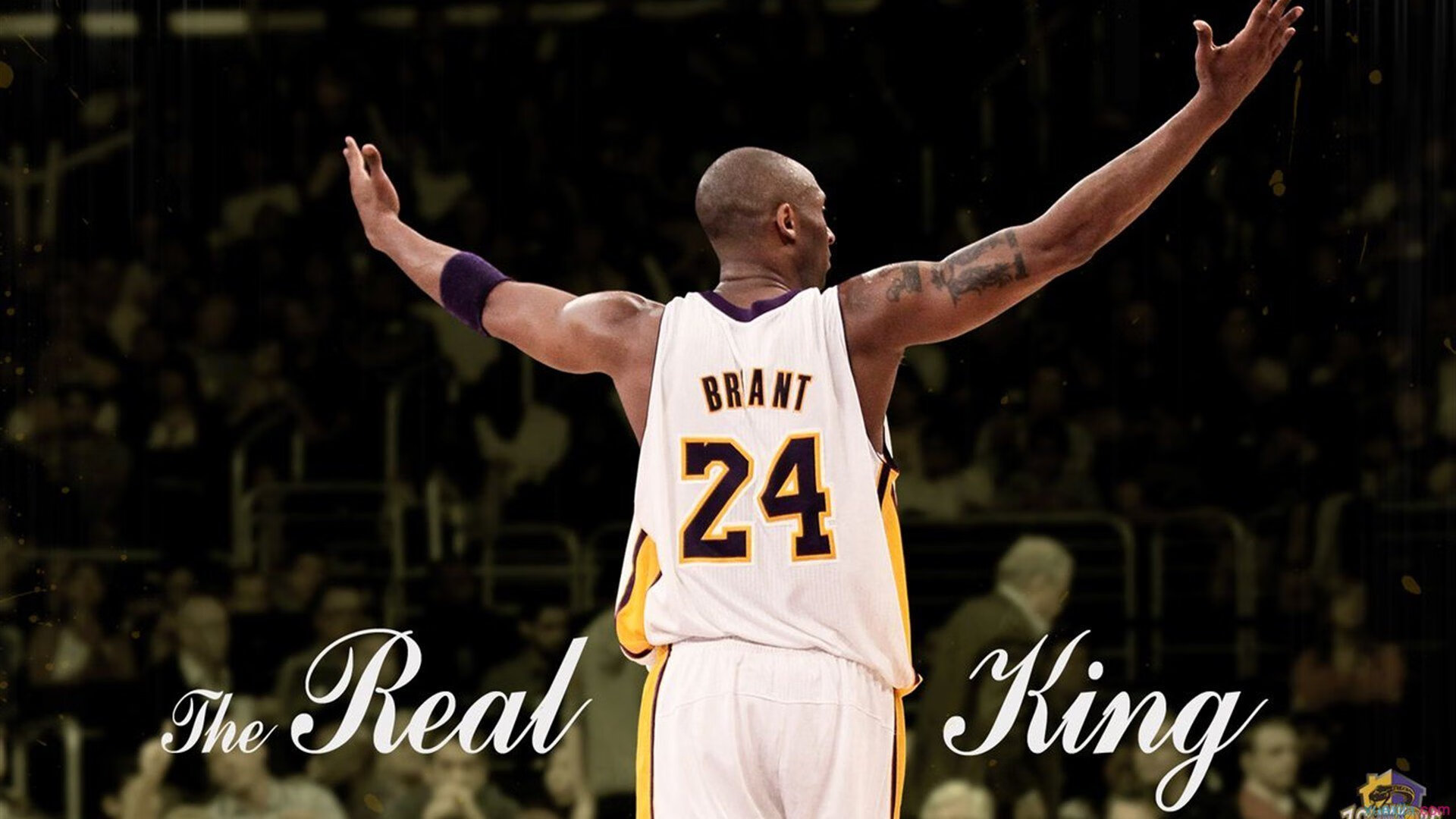 _山地自行车极限赛：穿越丛林，极速狂飙_，山地自行车越野赛